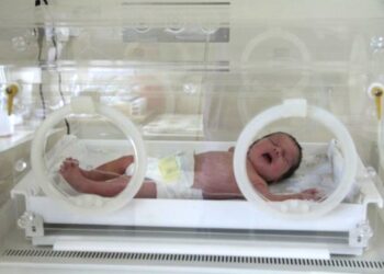 Światowy poziom leczenia noworodków w szpitalu na Czarnowie - Radio Kielce