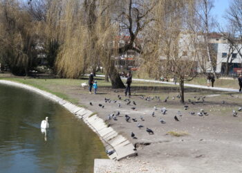 W parku ...wiosna! - Radio Kielce