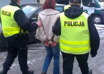 Podejrzana o zabójstwo mieszkanka Opatowa w areszcie - Radio Kielce