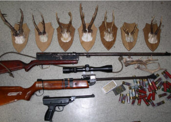 Nielegalna broń u 39-latka z gminy Krasocin - Radio Kielce