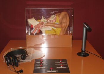 Wystawa "Świat zmysłów" w sandomierskim zamku - Radio Kielce