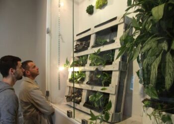 Green Idea na Wzgórzu Zamkowym - Radio Kielce