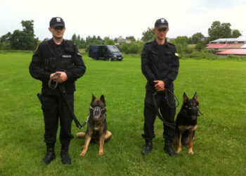 Bongo i Demon pomogą jędrzejowskim policjantom - Radio Kielce