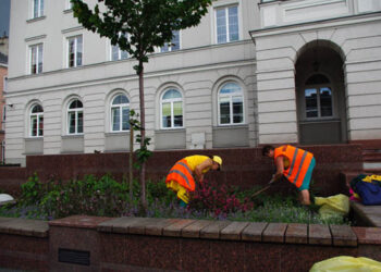 Kwietniki przed Urzędem Miasta uporządkowane po naszej interwencji - Radio Kielce