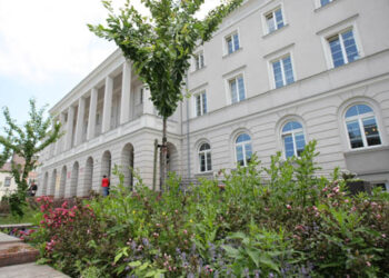 Metrowe chwasty w kwietnikach przed Urzędem Miasta - Radio Kielce