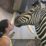 Dzień Dobry Dzieci (12 czerwca 2013) / Radio Kielce