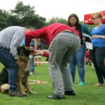 Europejska Wystawa Psów Rasowych / Robert Felczak / Radio Kielce
