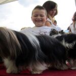 Europejska Wystawa Psów Rasowych / Robert Felczak / Radio Kielce