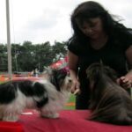 Europejska Wystawa Psów Rasowych / Robert Felczak / Radio Kielce