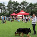 Europejska Wystawa Psów Rasowych / Robert Felczak / Radio Kielce