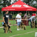 Europejska Wystawa Psów Rasowych / Robert Felczak / Radio Kielce