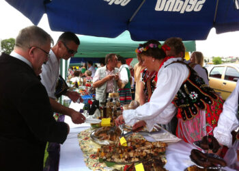 Dni Sędziszowa i Festiwal Ludowy Stefana Ostrowskiego i Jana Jawora / Ewa Pociejowska Gawęda