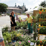 Święto Kielc 2013, Jarmark na ulicy Sienkiewicza. / Wojciech Habdas / Radio Kielce