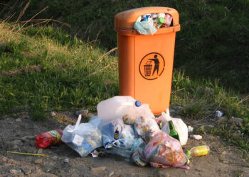 Bieszczady, Wetlina, śmietnik / Wojciech Habdas