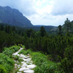 Rysy / Robert Stachyra