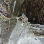 Świętokrzyskie na Fali - Przybij Piątkę z Radiem Kielce w Podzamczu Piekoszowskim. / Piotr Michalski / Radio Kielce