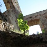 Świętokrzyskie na Fali - Przybij Piątkę z Radiem Kielce w Podzamczu Piekoszowskim. / Piotr Michalski / Radio Kielce