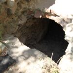 Świętokrzyskie na Fali - Przybij Piątkę z Radiem Kielce w Podzamczu Piekoszowskim. / Piotr Michalski / Radio Kielce