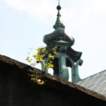 Świętokrzyskie na Fali - Przybij Piątkę z Radiem Kielce - Karczówka Kielce. / Piotr Michalski / Radio Kielce