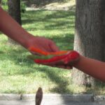 Świętokrzyskie na Fali - Przybij Piątkę z Radiem Kielce w Wiślicy. / Konrad Łużniak / Radio Kielce