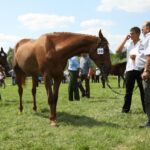 Świętokrzyskie na Fali - Przybij Piątkę z Radiem Kielce - Opatowiec. / Piotr Michalski / Radio Kielce