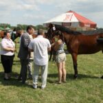 Świętokrzyskie na Fali - Przybij Piątkę z Radiem Kielce - Opatowiec. / Piotr Michalski / Radio Kielce