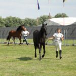 Świętokrzyskie na Fali - Przybij Piątkę z Radiem Kielce - Opatowiec. / Piotr Michalski / Radio Kielce