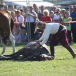 Świętokrzyskie na Fali - Przybij Piątkę z Radiem Kielce - Opatowiec. / Piotr Michalski / Radio Kielce