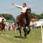 Świętokrzyskie na Fali - Przybij Piątkę z Radiem Kielce - Opatowiec. / Piotr Michalski / Radio Kielce