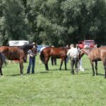 Świętokrzyskie na Fali - Przybij Piątkę z Radiem Kielce - Opatowiec. / Piotr Michalski / Radio Kielce