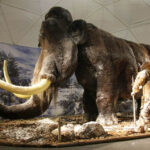 "Centrum Neandertalczyka" - najnowsza atrakcja turystyczno-edukacyjna przy "Jaskini Raj" / Robert Felczak / Radio Kielce