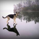 "Uff, jak gorąco..." Miko uwielbia bawić się butelkami po wodzie mineralnej. Na fotografii dostał jedną z nich i wygląda jakby całą wypił. / Grażyna / arch. prywatne