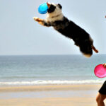 "Blues i frisbee nad oceanem"