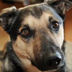 Jechał odebrać swoją panią z leczenia uzdrowiskowego :) / Katarzyna / arch. prywatne