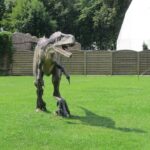 Świętokrzyskie na Fali w Bałtowie - atak Dinozaura / Grzegorz Jamka / Radio Kielce