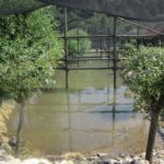 Świętokrzyskie na Fali w Bałtowie - Zwierzyniec / Grzegorz Jamka / Radio Kielce