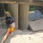 Świętokrzyskie na Fali w Bałtowie - Zwierzyniec / Grzegorz Jamka / Radio Kielce