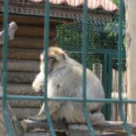 Świętokrzyskie na Fali w Bałtowie - Zwierzyniec / Grzegorz Jamka / Radio Kielce