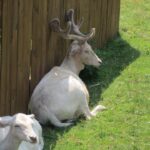 Świętokrzyskie na Fali w Bałtowie - Zwierzyniec / Grzegorz Jamka / Radio Kielce