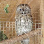 Świętokrzyskie na Fali w Bałtowie - Zwierzyniec / Grzegorz Jamka / Radio Kielce