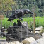 Świętokrzyskie na Fali w Bałtowie -  magiczne miejsce / Grzegorz Jamka / Radio Kielce