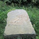 Świętokrzyskie na Fali w Bałtowie - odciski dinozaurów / Grzegorz Jamka / Radio Kielce