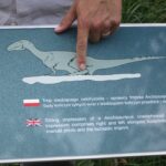 Świętokrzyskie na Fali w Bałtowie / Grzegorz Jamka / Radio Kielce