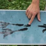 Świętokrzyskie na Fali w Bałtowie / Grzegorz Jamka / Radio Kielce