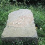 Świętokrzyskie na Fali w Bałtowie  - odciski dinozaurów / Grzegorz Jamka / Radio Kielce