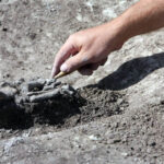 Radio Kielce na Fali w Krzyżanowicach Krzyżanowicach, gdzie odkryto pochówek tak zwanej kultury mierzanowickiej sprzed ponad dwóch tysięcy lat przed naszą erą / Radio Kielce