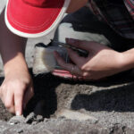 Radio Kielce na Fali w Krzyżanowicach Krzyżanowicach, gdzie odkryto pochówek tak zwanej kultury mierzanowickiej sprzed ponad dwóch tysięcy lat przed naszą erą / Radio Kielce