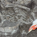 Radio Kielce na Fali w Krzyżanowicach Krzyżanowicach, gdzie odkryto pochówek tak zwanej kultury mierzanowickiej sprzed ponad dwóch tysięcy lat przed naszą erą / Radio Kielce