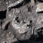 Radio Kielce na Fali w Krzyżanowicach Krzyżanowicach, gdzie odkryto pochówek tak zwanej kultury mierzanowickiej sprzed ponad dwóch tysięcy lat przed naszą erą / Radio Kielce