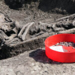 Radio Kielce na Fali w Krzyżanowicach Krzyżanowicach, gdzie odkryto pochówek tak zwanej kultury mierzanowickiej sprzed ponad dwóch tysięcy lat przed naszą erą / Radio Kielce